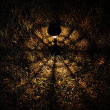 Solar Pathway Lights Decorative Outdoor, 8 Pack Solar Powered Yard Lights, Waterproof Landscape Lighting for Pathways, Lawn, Patio, Deck